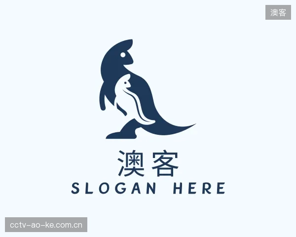 解读澳客机构